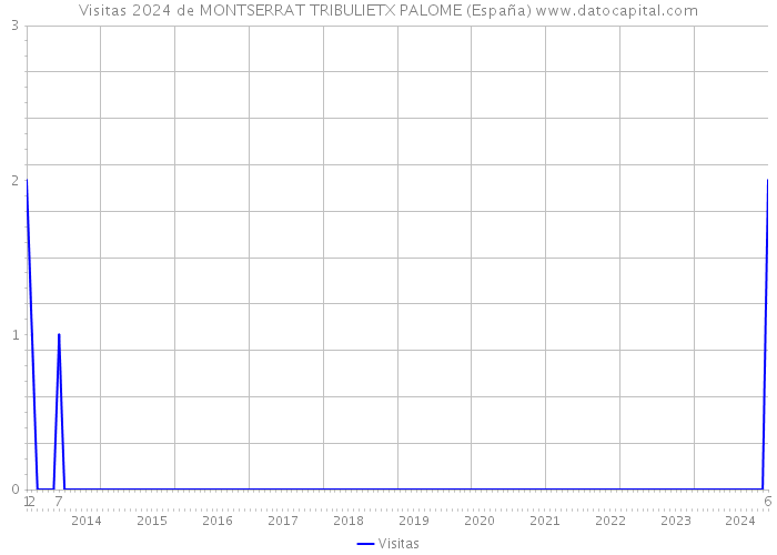 Visitas 2024 de MONTSERRAT TRIBULIETX PALOME (España) 
