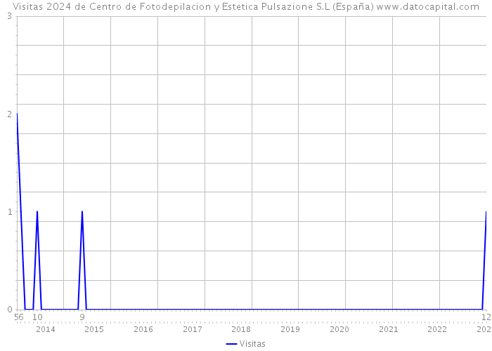 Visitas 2024 de Centro de Fotodepilacion y Estetica Pulsazione S.L (España) 
