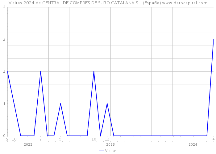 Visitas 2024 de CENTRAL DE COMPRES DE SURO CATALANA S.L (España) 