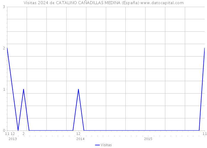 Visitas 2024 de CATALINO CAÑADILLAS MEDINA (España) 