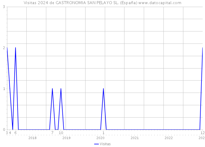 Visitas 2024 de GASTRONOMIA SAN PELAYO SL. (España) 