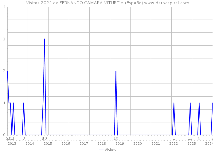 Visitas 2024 de FERNANDO CAMARA VITURTIA (España) 