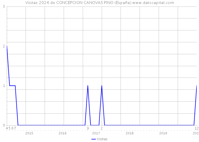 Visitas 2024 de CONCEPCION CANOVAS PINO (España) 