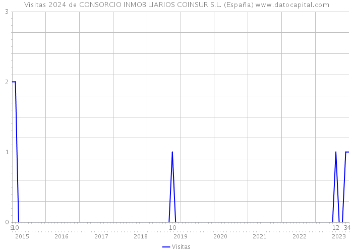 Visitas 2024 de CONSORCIO INMOBILIARIOS COINSUR S.L. (España) 