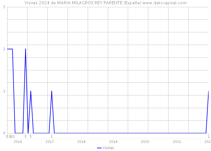 Visitas 2024 de MARIA MILAGROS REY PARENTE (España) 