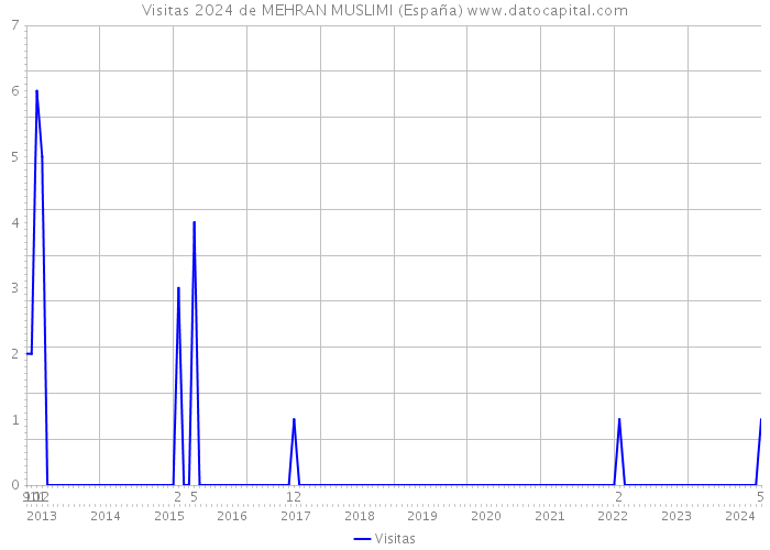 Visitas 2024 de MEHRAN MUSLIMI (España) 