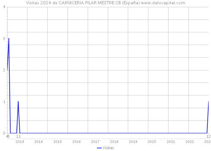 Visitas 2024 de CARNICERIA PILAR MESTRE CB (España) 