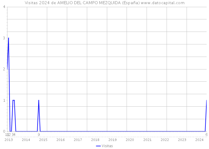 Visitas 2024 de AMELIO DEL CAMPO MEZQUIDA (España) 