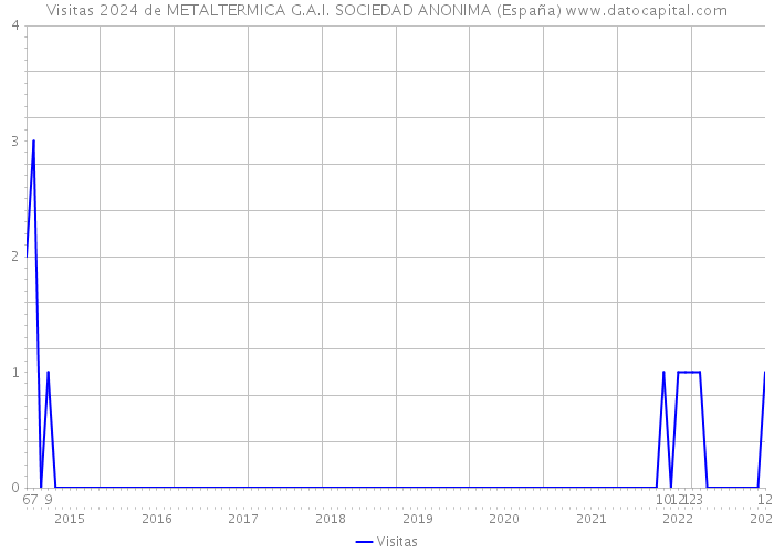 Visitas 2024 de METALTERMICA G.A.I. SOCIEDAD ANONIMA (España) 