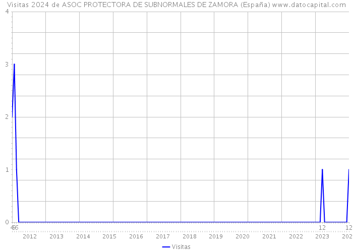Visitas 2024 de ASOC PROTECTORA DE SUBNORMALES DE ZAMORA (España) 