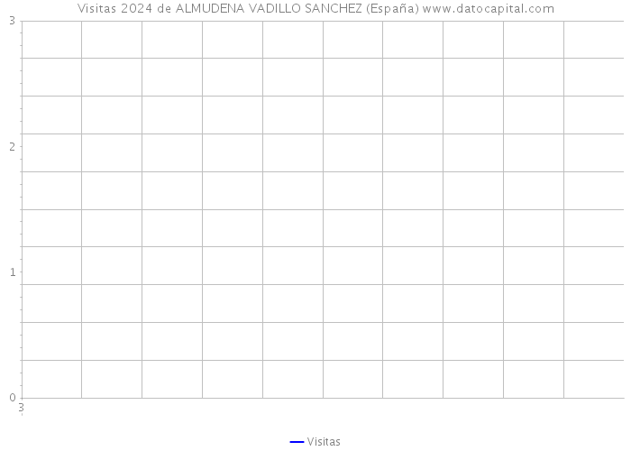 Visitas 2024 de ALMUDENA VADILLO SANCHEZ (España) 