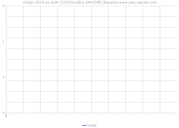 Visitas 2024 de ANA COSCOLLUELA SANCHEZ (España) 