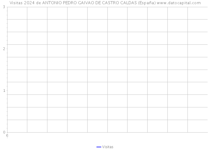 Visitas 2024 de ANTONIO PEDRO GAIVAO DE CASTRO CALDAS (España) 