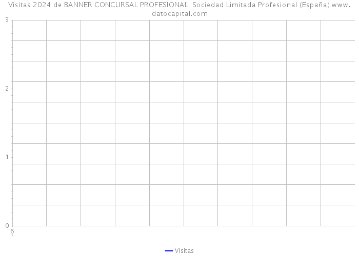 Visitas 2024 de BANNER CONCURSAL PROFESIONAL Sociedad Limitada Profesional (España) 