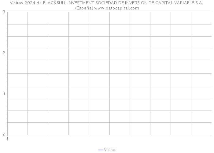 Visitas 2024 de BLACKBULL INVESTMENT SOCIEDAD DE INVERSION DE CAPITAL VARIABLE S.A. (España) 