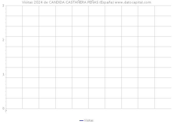 Visitas 2024 de CANDIDA CASTAÑERA PEÑAS (España) 