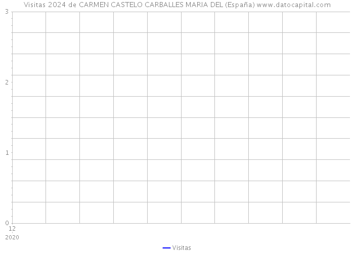 Visitas 2024 de CARMEN CASTELO CARBALLES MARIA DEL (España) 