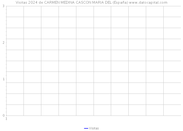 Visitas 2024 de CARMEN MEDINA CASCON MARIA DEL (España) 