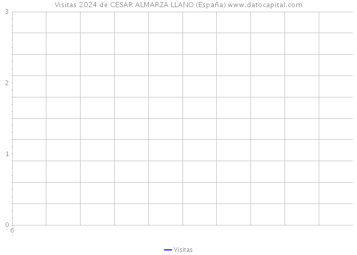 Visitas 2024 de CESAR ALMARZA LLANO (España) 