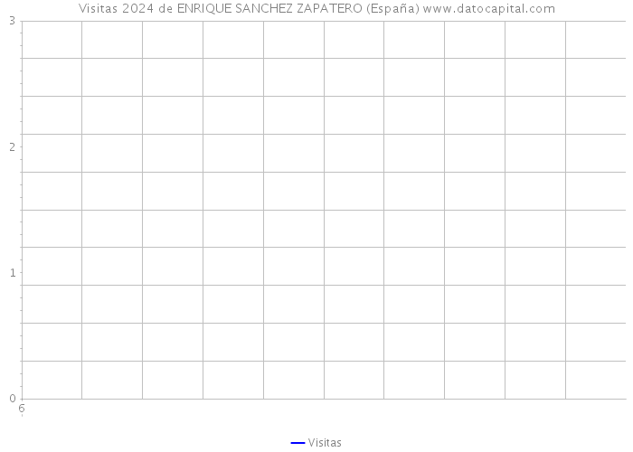 Visitas 2024 de ENRIQUE SANCHEZ ZAPATERO (España) 