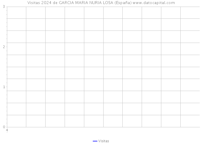 Visitas 2024 de GARCIA MARIA NURIA LOSA (España) 