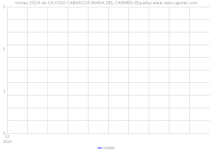 Visitas 2024 de GAYOSO CABARCOS MARIA DEL CARMEN (España) 