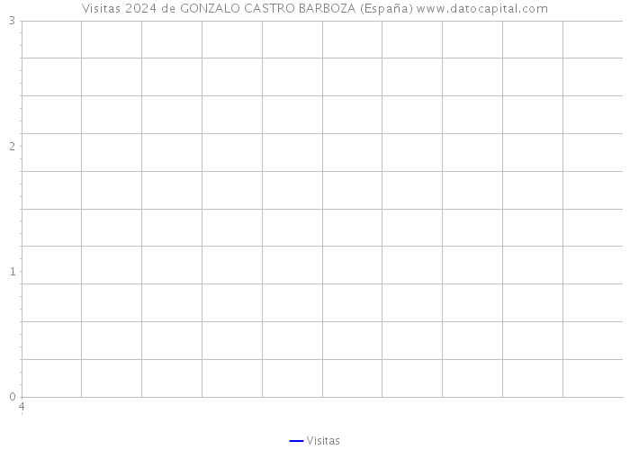 Visitas 2024 de GONZALO CASTRO BARBOZA (España) 