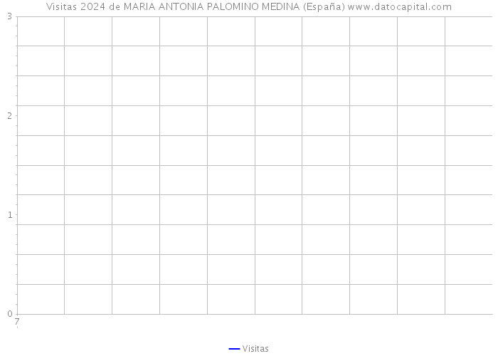 Visitas 2024 de MARIA ANTONIA PALOMINO MEDINA (España) 