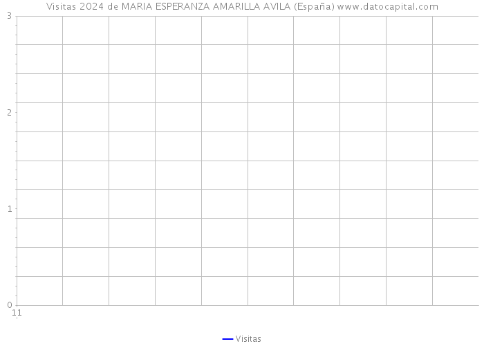 Visitas 2024 de MARIA ESPERANZA AMARILLA AVILA (España) 