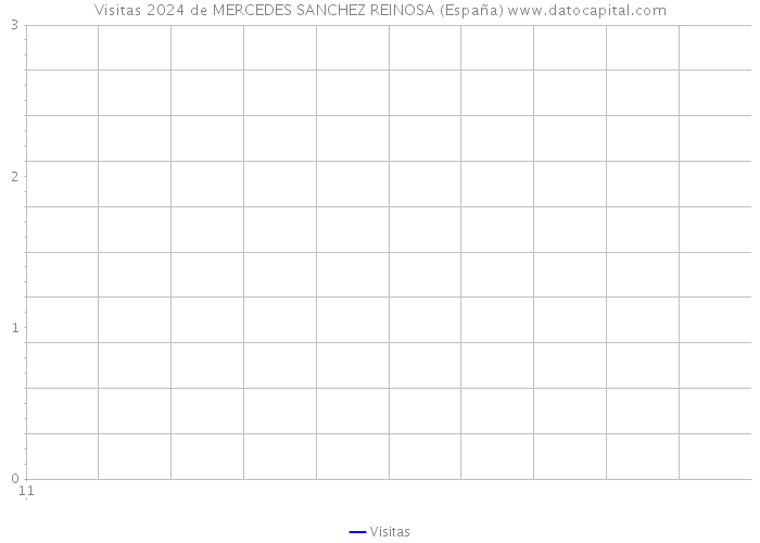 Visitas 2024 de MERCEDES SANCHEZ REINOSA (España) 