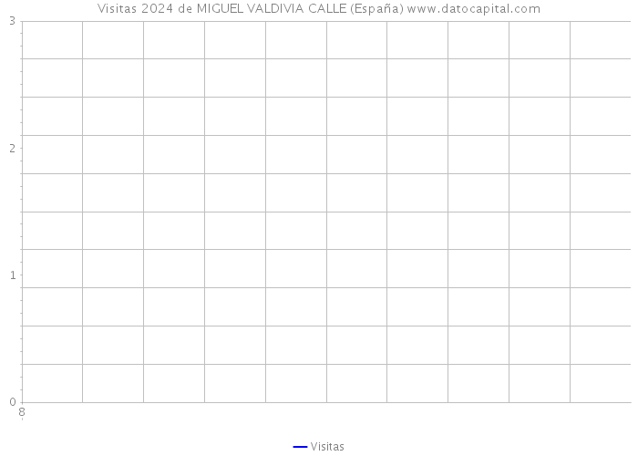 Visitas 2024 de MIGUEL VALDIVIA CALLE (España) 