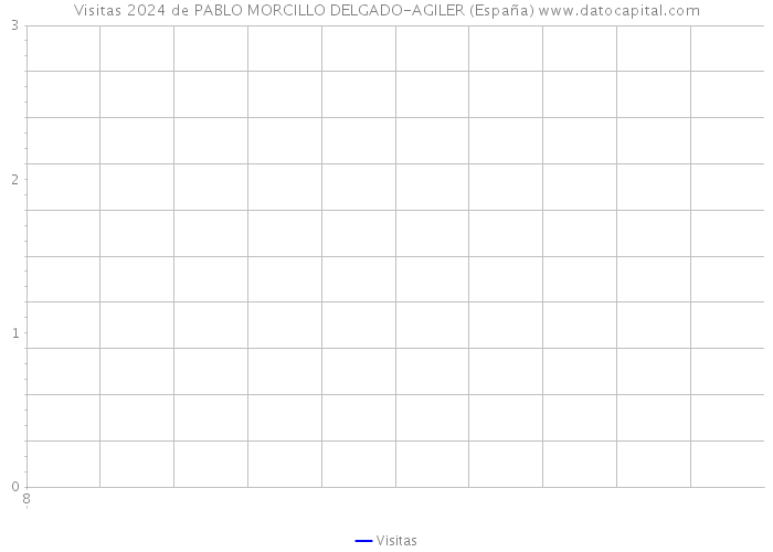 Visitas 2024 de PABLO MORCILLO DELGADO-AGILER (España) 