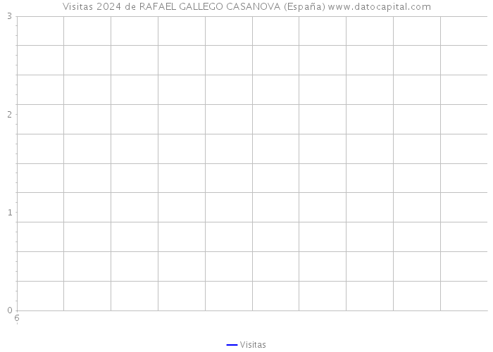 Visitas 2024 de RAFAEL GALLEGO CASANOVA (España) 