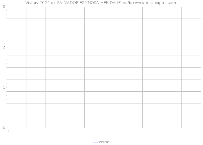 Visitas 2024 de SALVADOR ESPINOSA MERIDA (España) 