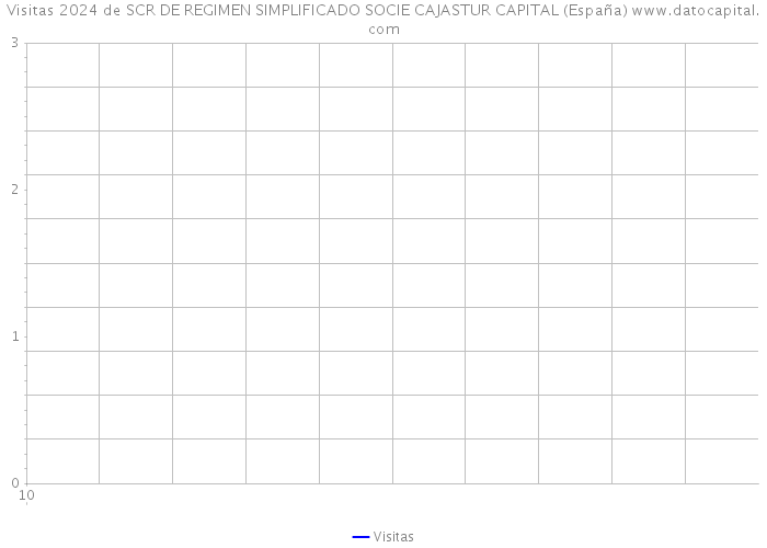 Visitas 2024 de SCR DE REGIMEN SIMPLIFICADO SOCIE CAJASTUR CAPITAL (España) 