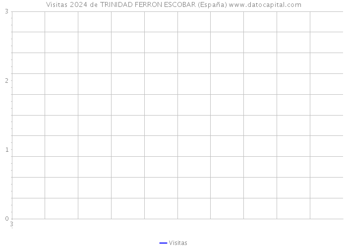 Visitas 2024 de TRINIDAD FERRON ESCOBAR (España) 