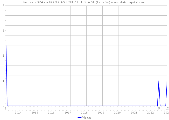 Visitas 2024 de BODEGAS LOPEZ CUESTA SL (España) 