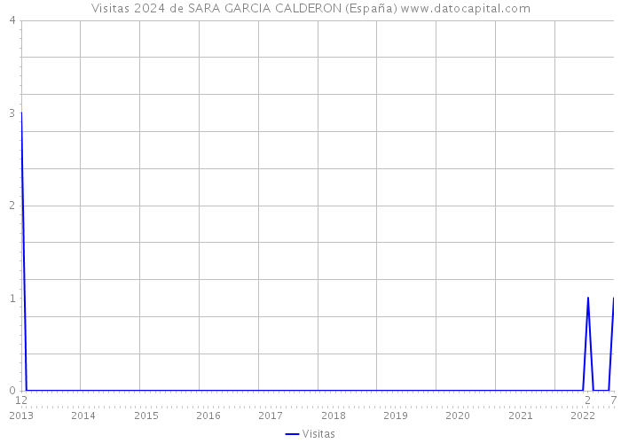 Visitas 2024 de SARA GARCIA CALDERON (España) 