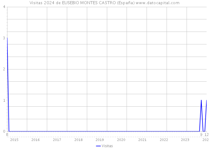 Visitas 2024 de EUSEBIO MONTES CASTRO (España) 