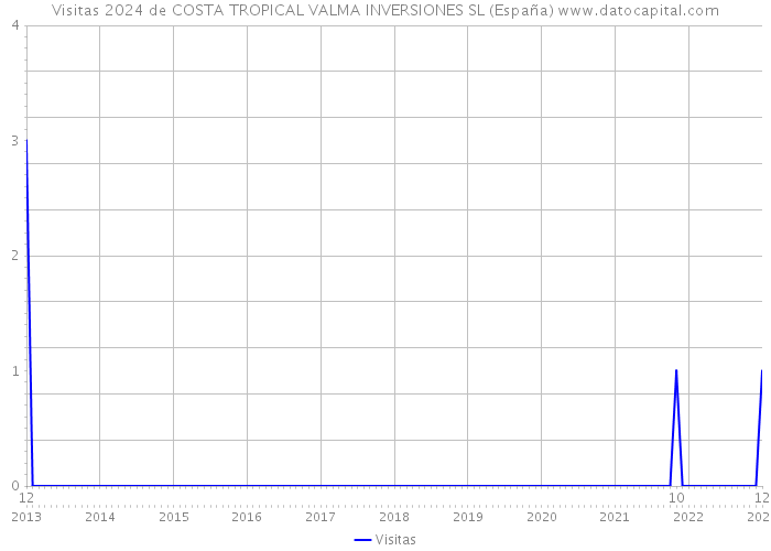 Visitas 2024 de COSTA TROPICAL VALMA INVERSIONES SL (España) 