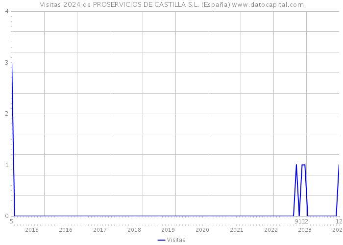 Visitas 2024 de PROSERVICIOS DE CASTILLA S.L. (España) 