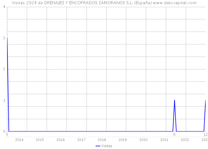 Visitas 2024 de DRENAJES Y ENCOFRADOS ZAMORANOS S.L. (España) 