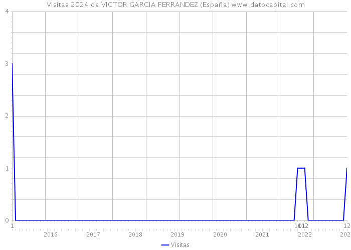 Visitas 2024 de VICTOR GARCIA FERRANDEZ (España) 
