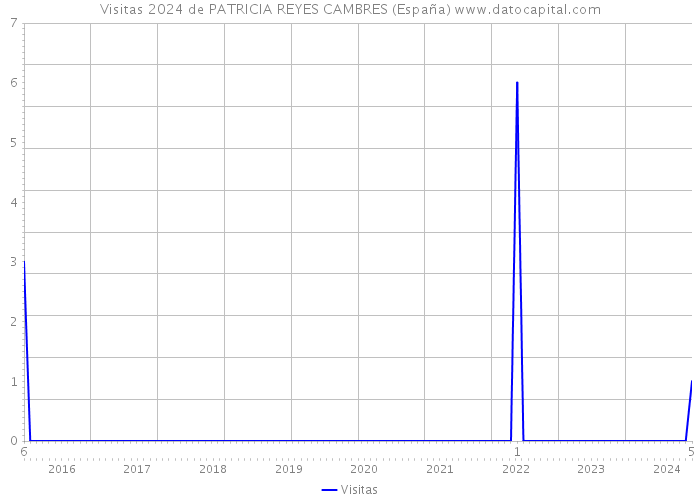 Visitas 2024 de PATRICIA REYES CAMBRES (España) 