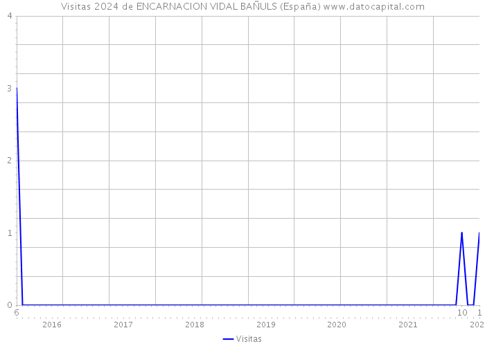 Visitas 2024 de ENCARNACION VIDAL BAÑULS (España) 