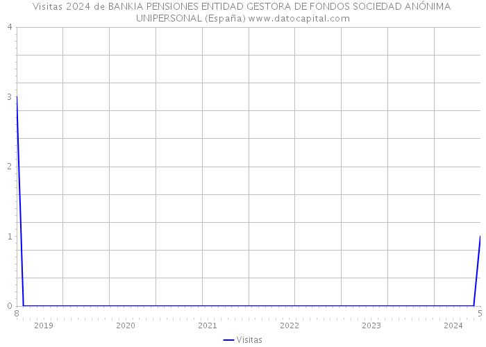 Visitas 2024 de BANKIA PENSIONES ENTIDAD GESTORA DE FONDOS SOCIEDAD ANÓNIMA UNIPERSONAL (España) 