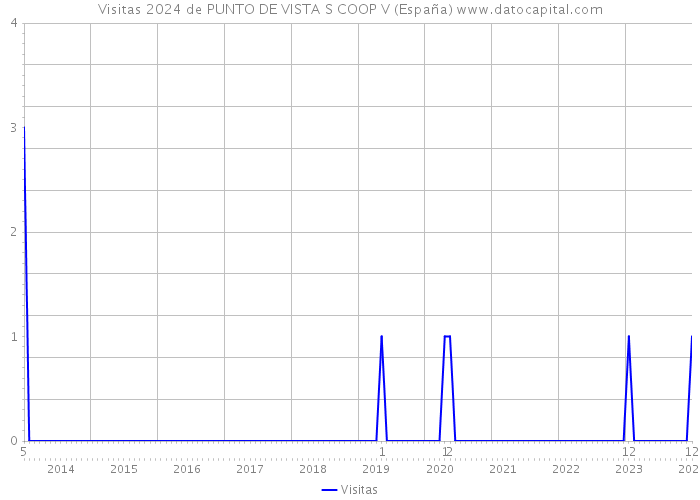 Visitas 2024 de PUNTO DE VISTA S COOP V (España) 