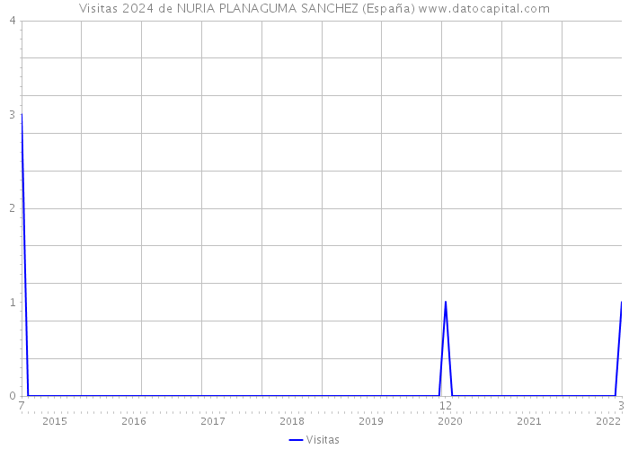 Visitas 2024 de NURIA PLANAGUMA SANCHEZ (España) 