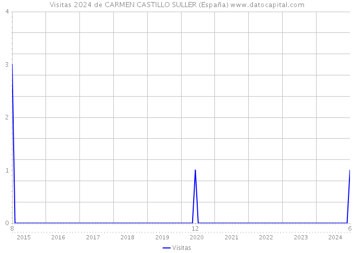 Visitas 2024 de CARMEN CASTILLO SULLER (España) 