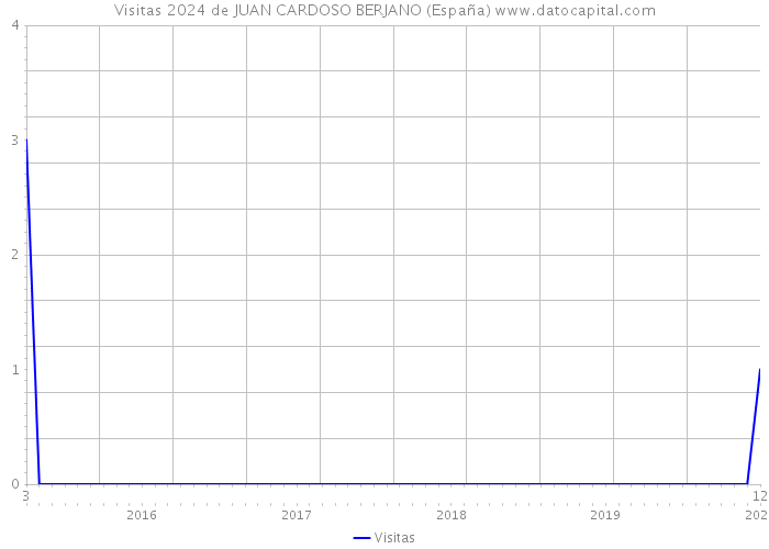 Visitas 2024 de JUAN CARDOSO BERJANO (España) 